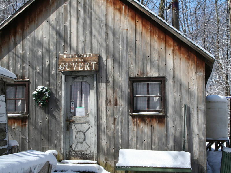 cabane à sucre
