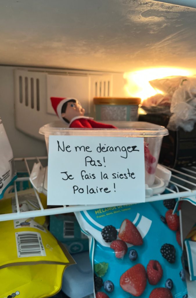 lutin noel congélateur