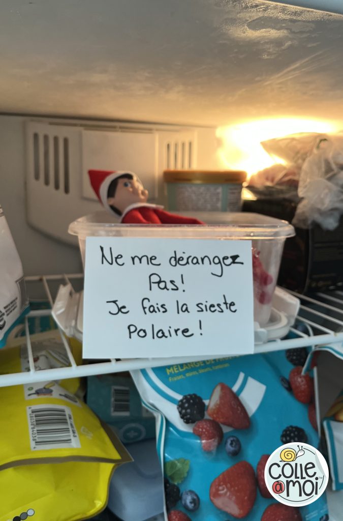 lutin noel congélateur